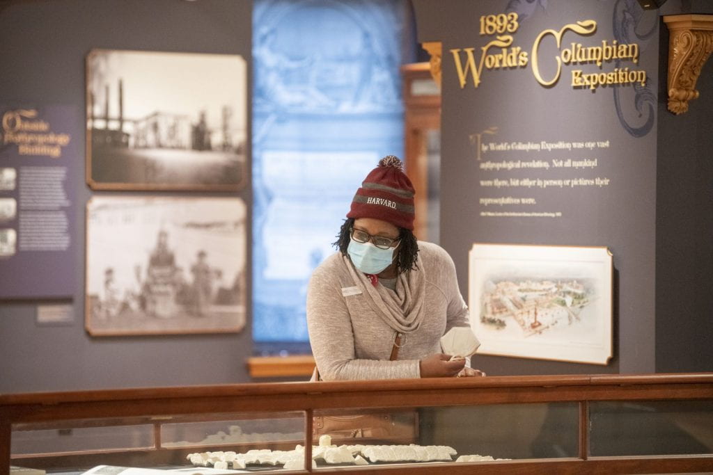 A person in the Peabody Museum looking at objects.