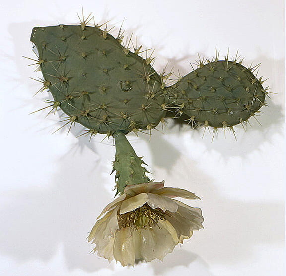 A model of a spiky cactus with its delicate yellow flower.