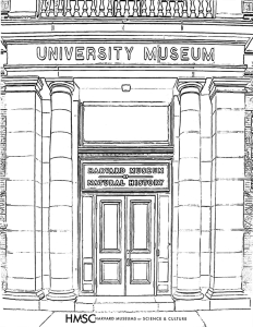 Black and white illustration of the front of the Harvard Museum of Natural History.