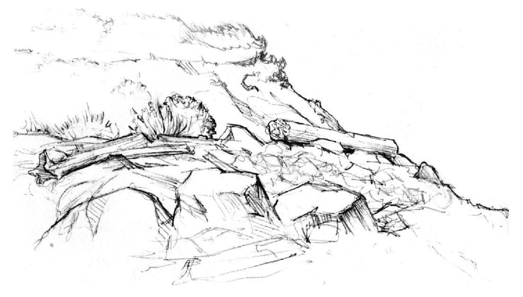 Sketch of a hillside in black pen, with rocks, logs, and plants visible