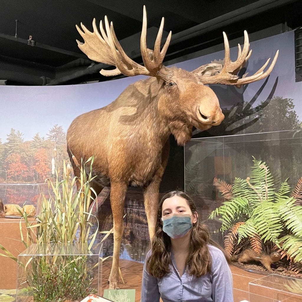 High school teen, Emilia Rodriguez Sheridan, standing in front of her chosen animal from the galleries, the Moose.