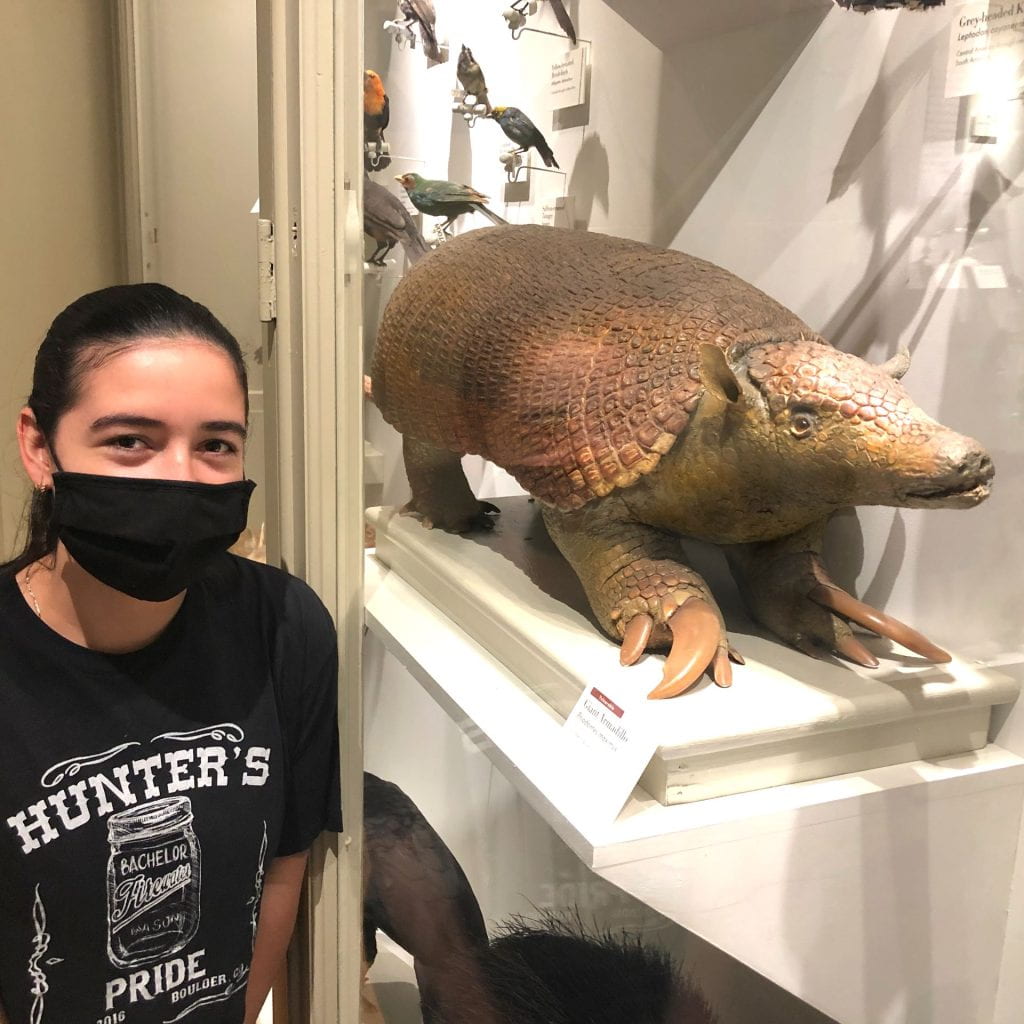 Teen, Mayerly Avendano, standing in front of her chosen animal from the museum, the giant armadillo.