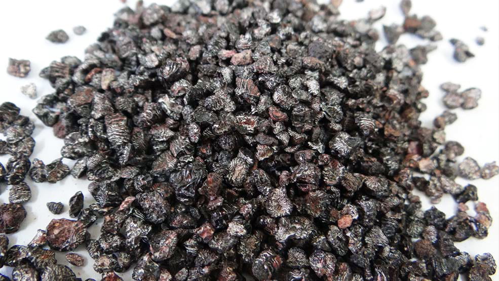 A pile of dried black bugs.
