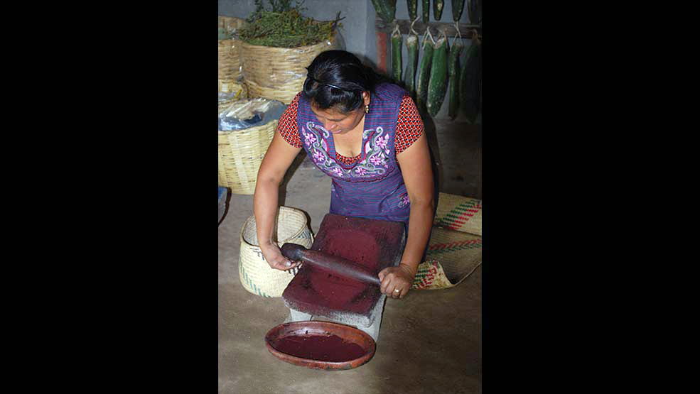 A woman grinding cochineal.