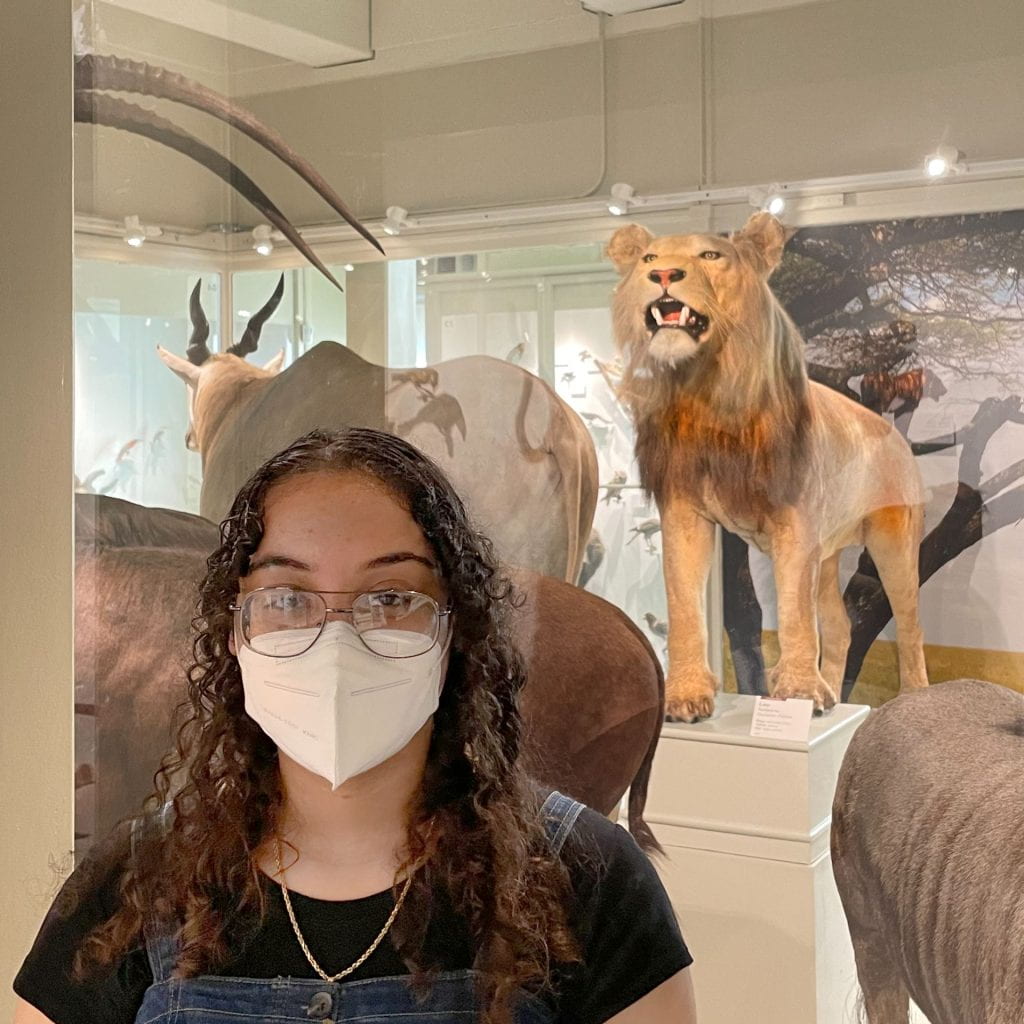 Teen, Valery Crayton, standing in front of her chosen animal in the gallery, a lion.