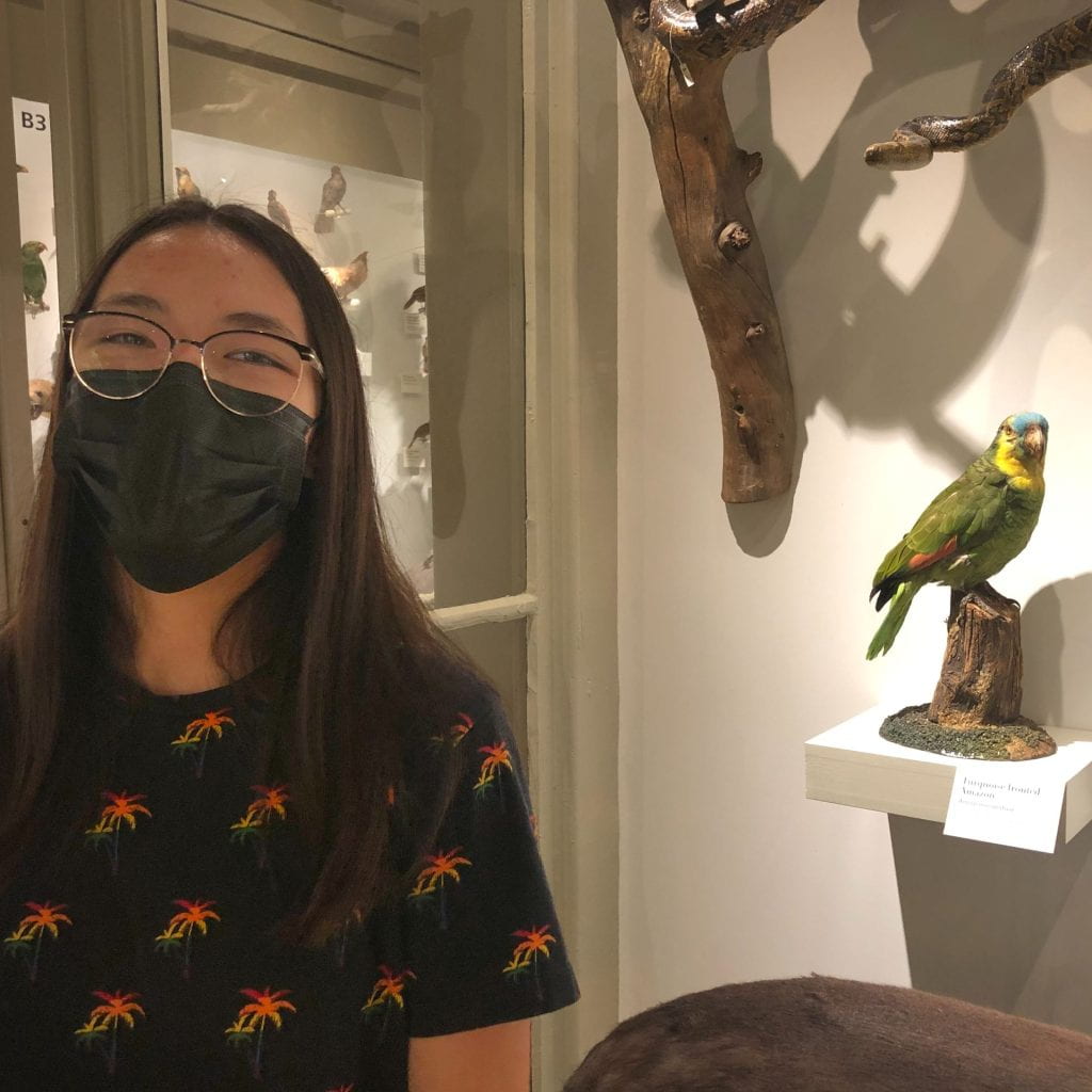 Teen, Yasmin Watanabe, standing next to the Turquoise-fronted Amazon.