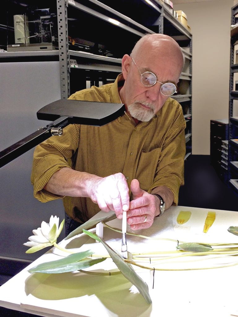 Scott Fulton conserving glass leaves.