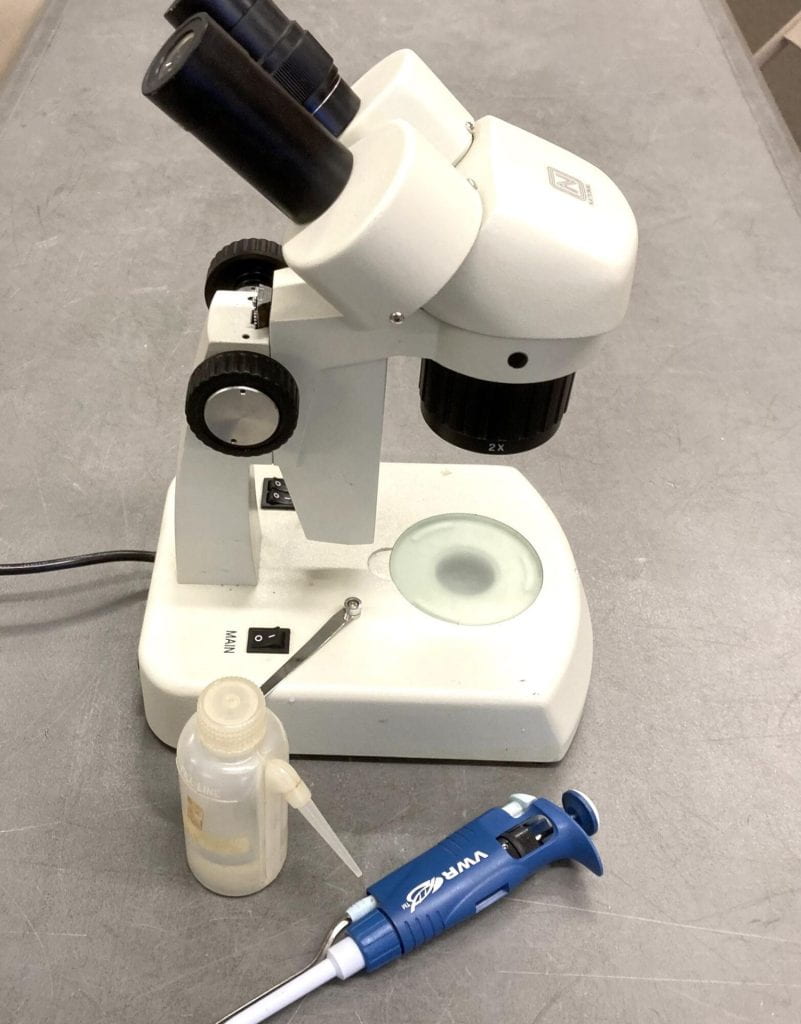 Small white microscope.