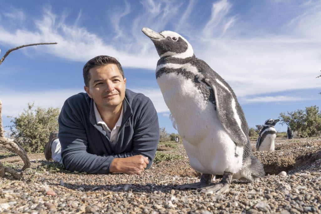 Pablo Borboroglu looking at a penguin