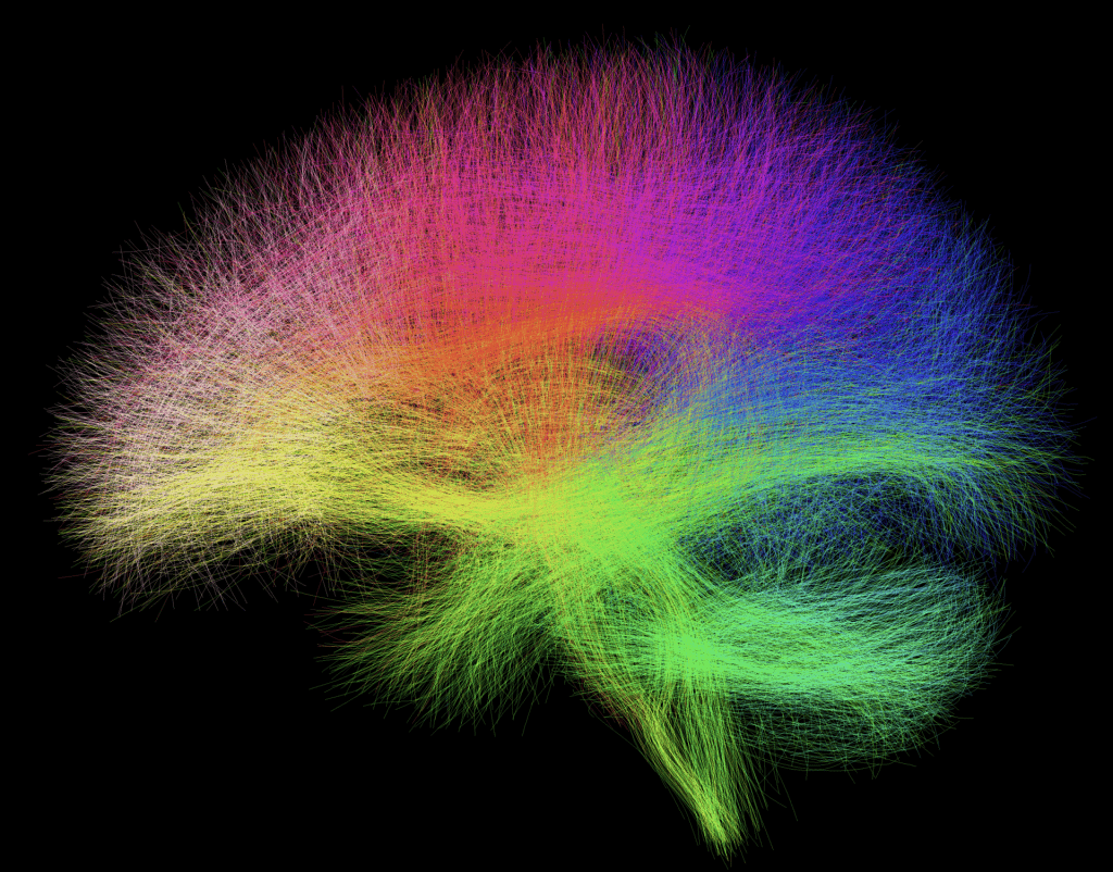 An artistic rendering of a human brain, featuring the whole spectrum of colors
