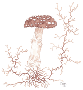 An illustration of a mushroom and hyphae made with fungal pigments.